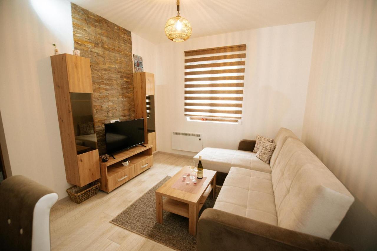 Apartman Kostic Kraljev Konak 科帕奥尼克 外观 照片