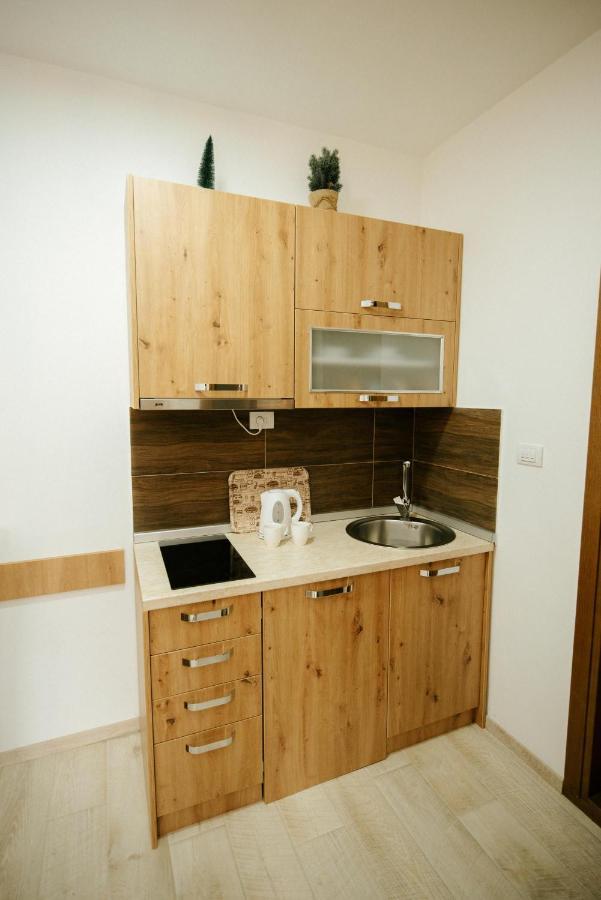 Apartman Kostic Kraljev Konak 科帕奥尼克 外观 照片